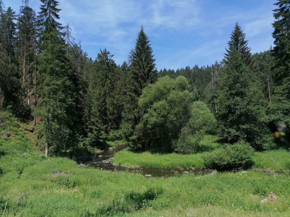 2026-06-28  Uvařená Střela  W009