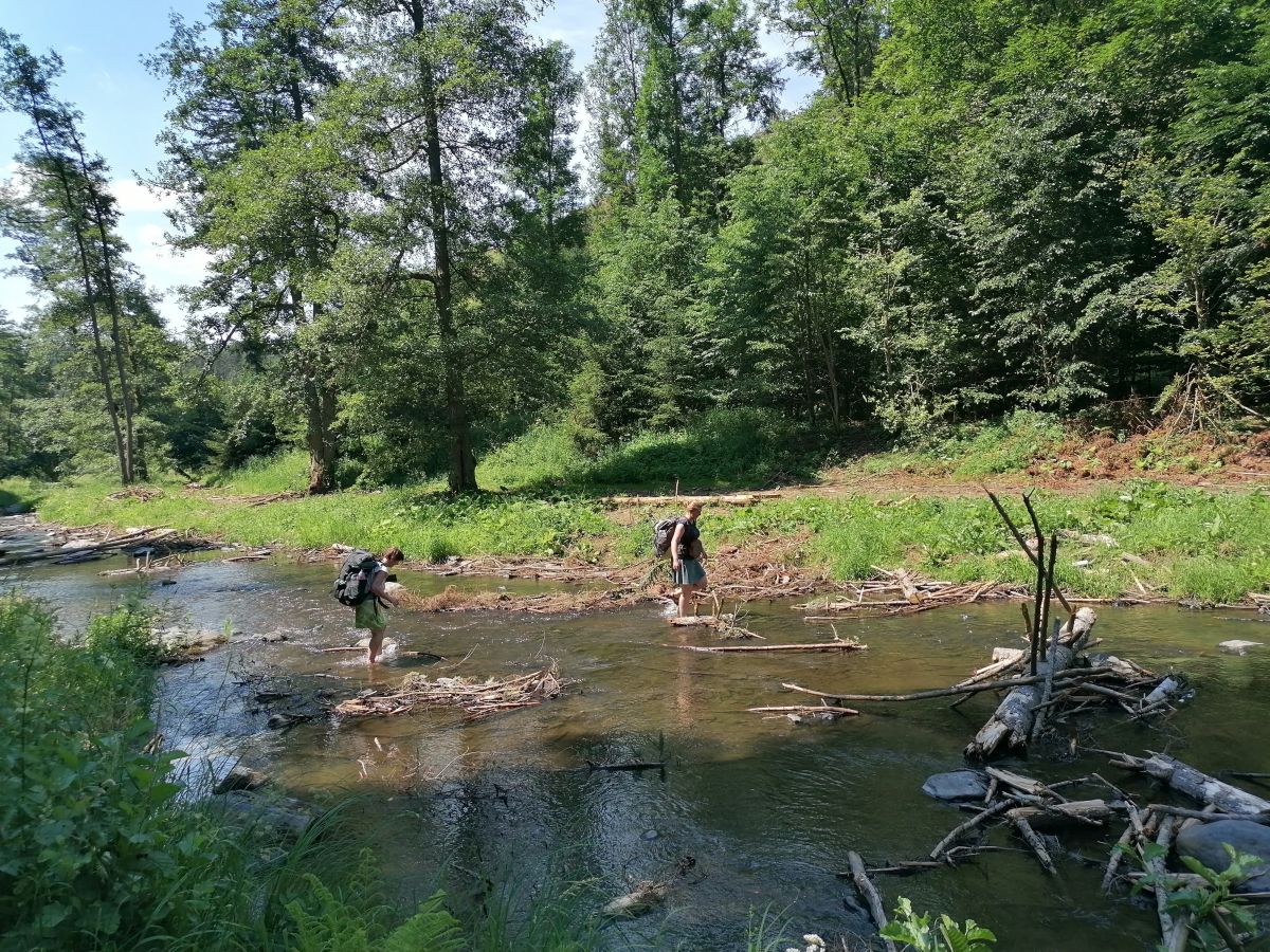 2026-06-28  Uvařená Střela  W013