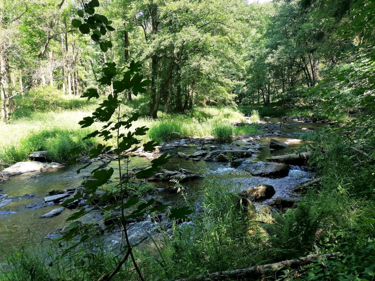 2026-06-28  Uvařená Střela  W016