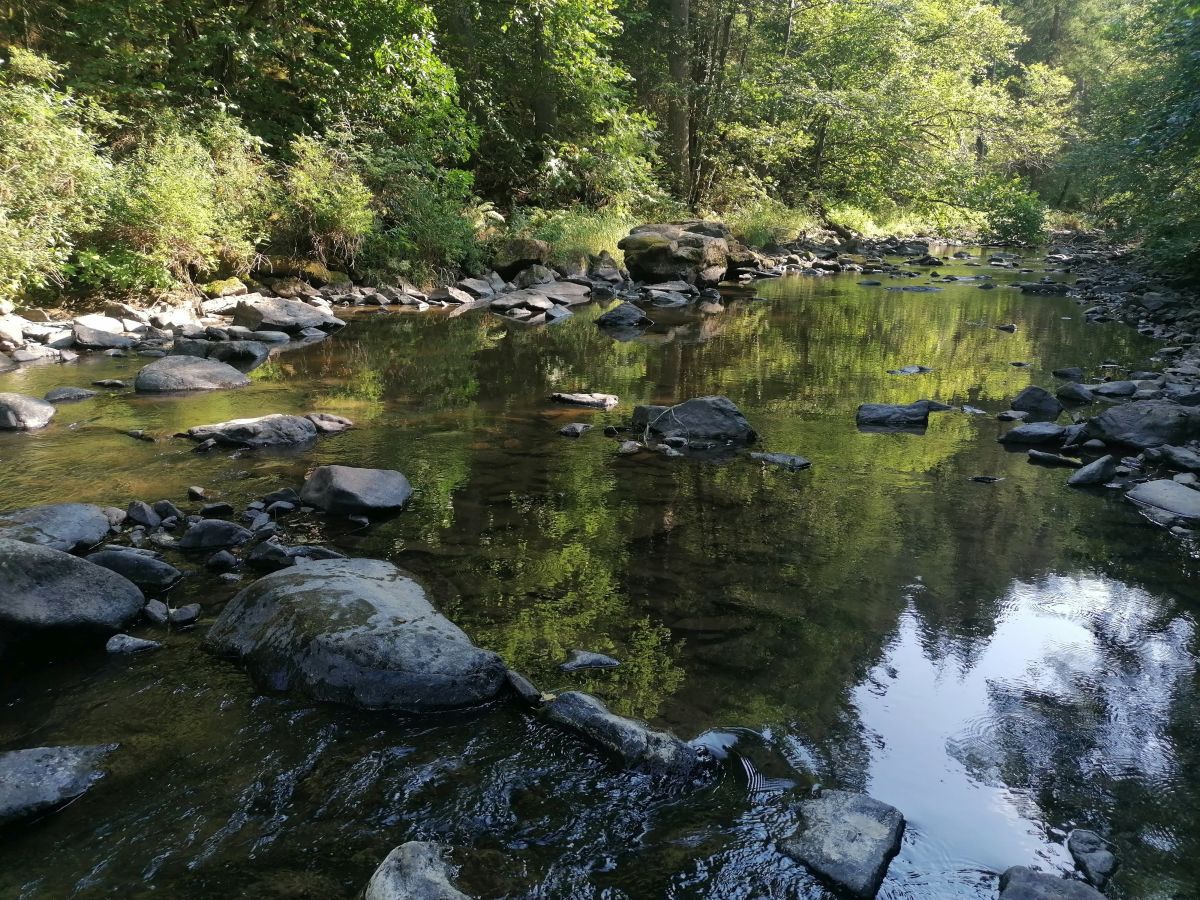 2026-08-02  Kaplická Alka  W025