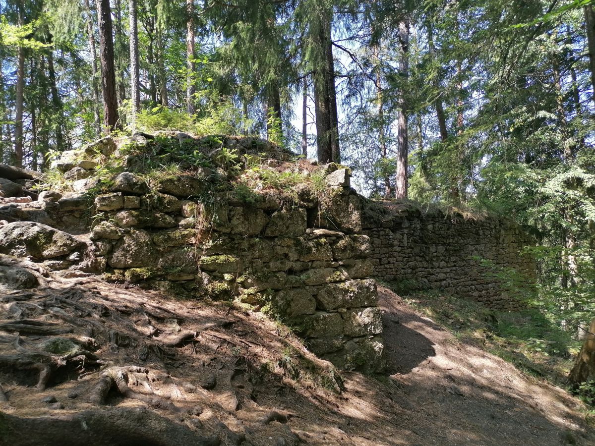 2026-08-03  Kaplická Alka  W008