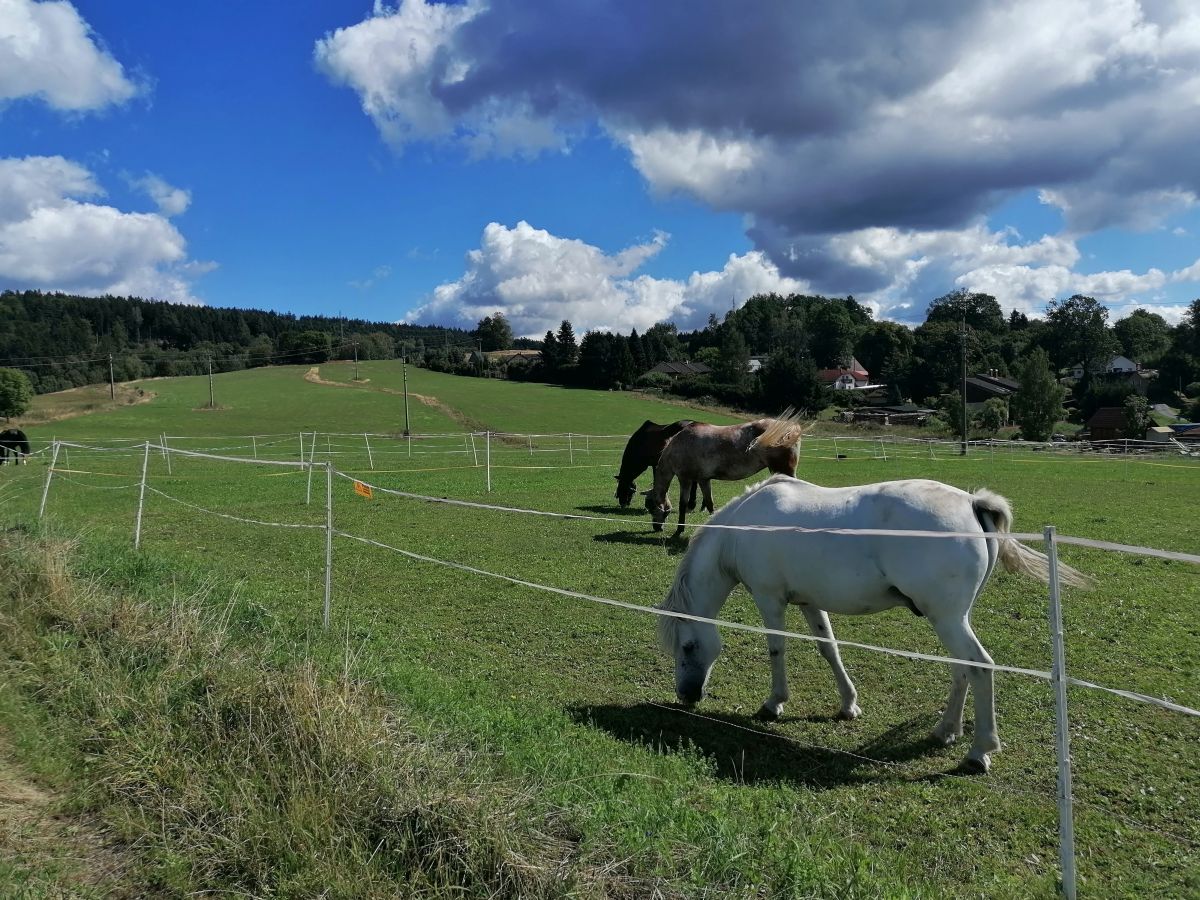 2026-08-29  Jablonecké rozhledy  W009