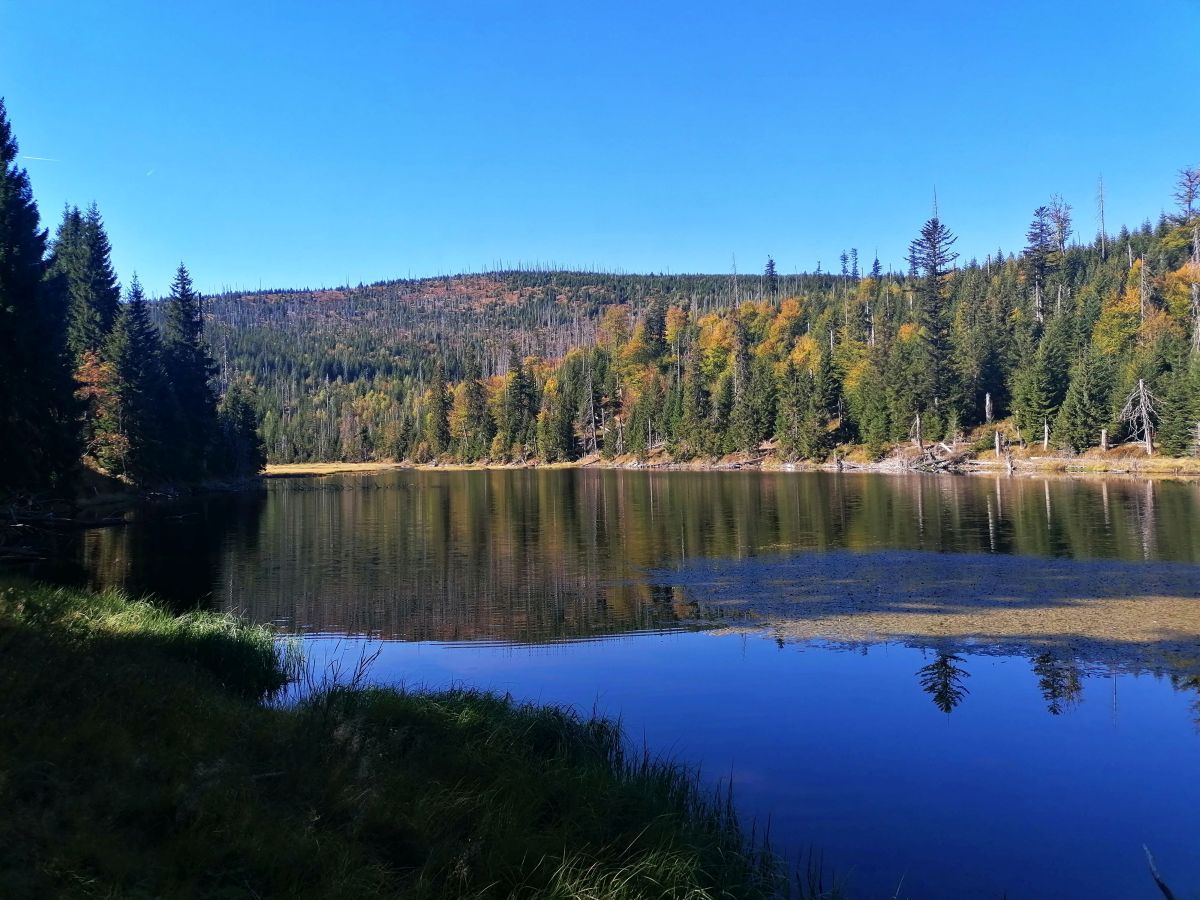 2026-09-26  Podzimní Šumava 2026  W010