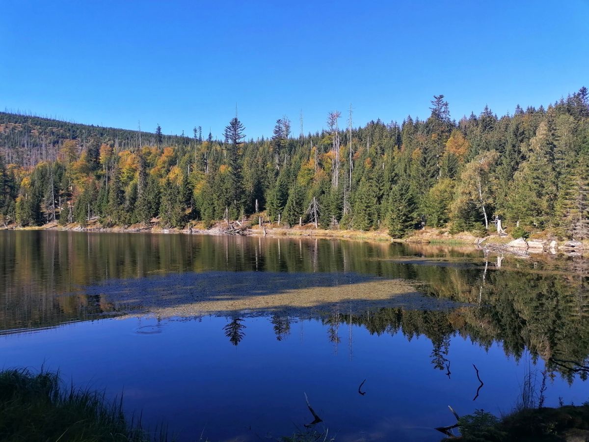 2026-09-26  Podzimní Šumava 2026  W011