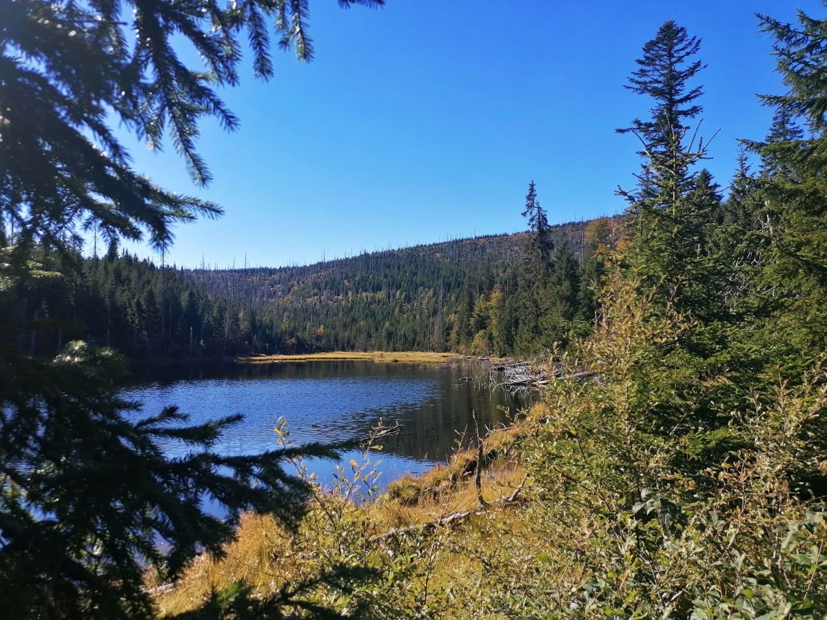 2026-09-26  Podzimní Šumava 2026  W013