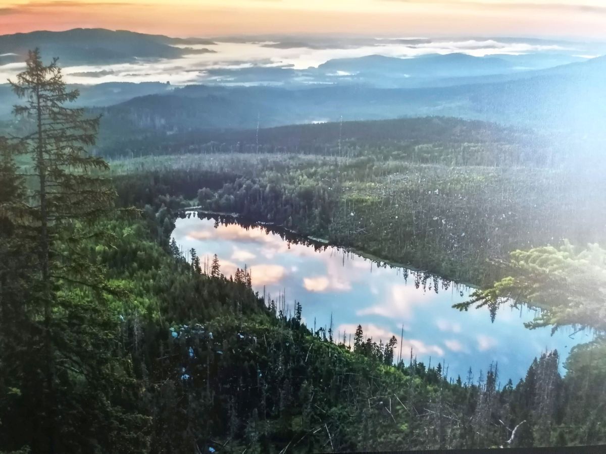 2026-09-26  Podzimní Šumava 2026  W016