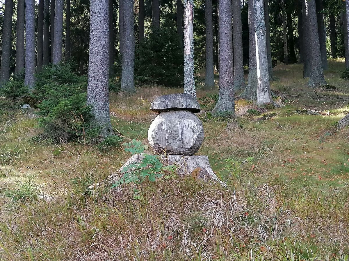2026-09-27  Podzimní Šumava 2026  W004