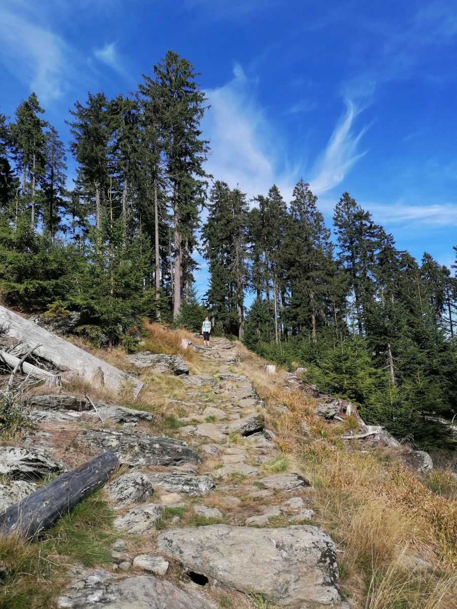 2026-09-27  Podzimní Šumava 2026  W005