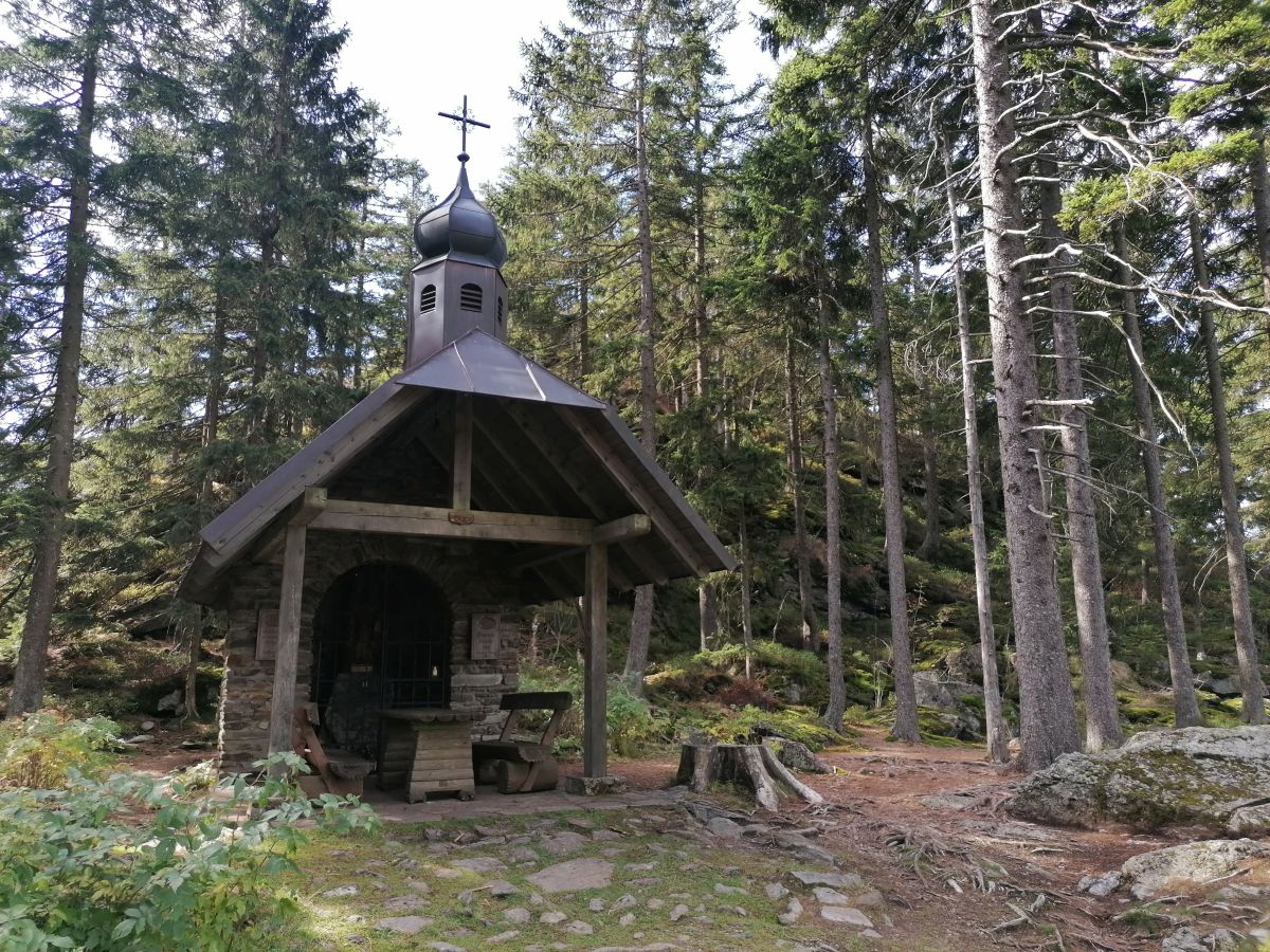 2026-09-27  Podzimní Šumava 2026  W015