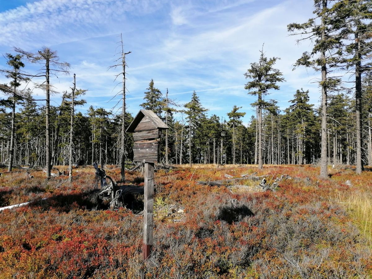 2026-09-27  Podzimní Šumava 2026  W030