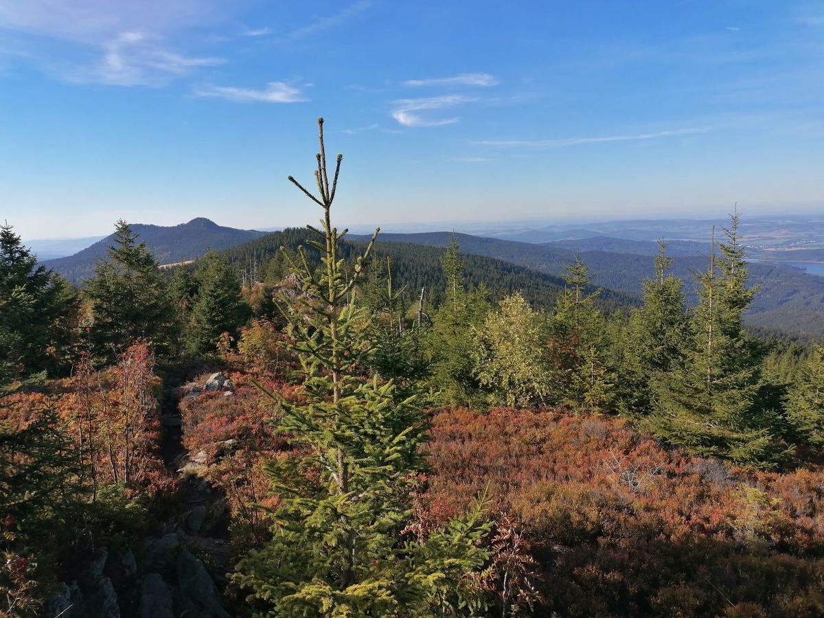 2026-09-27  Podzimní Šumava 2026  W034