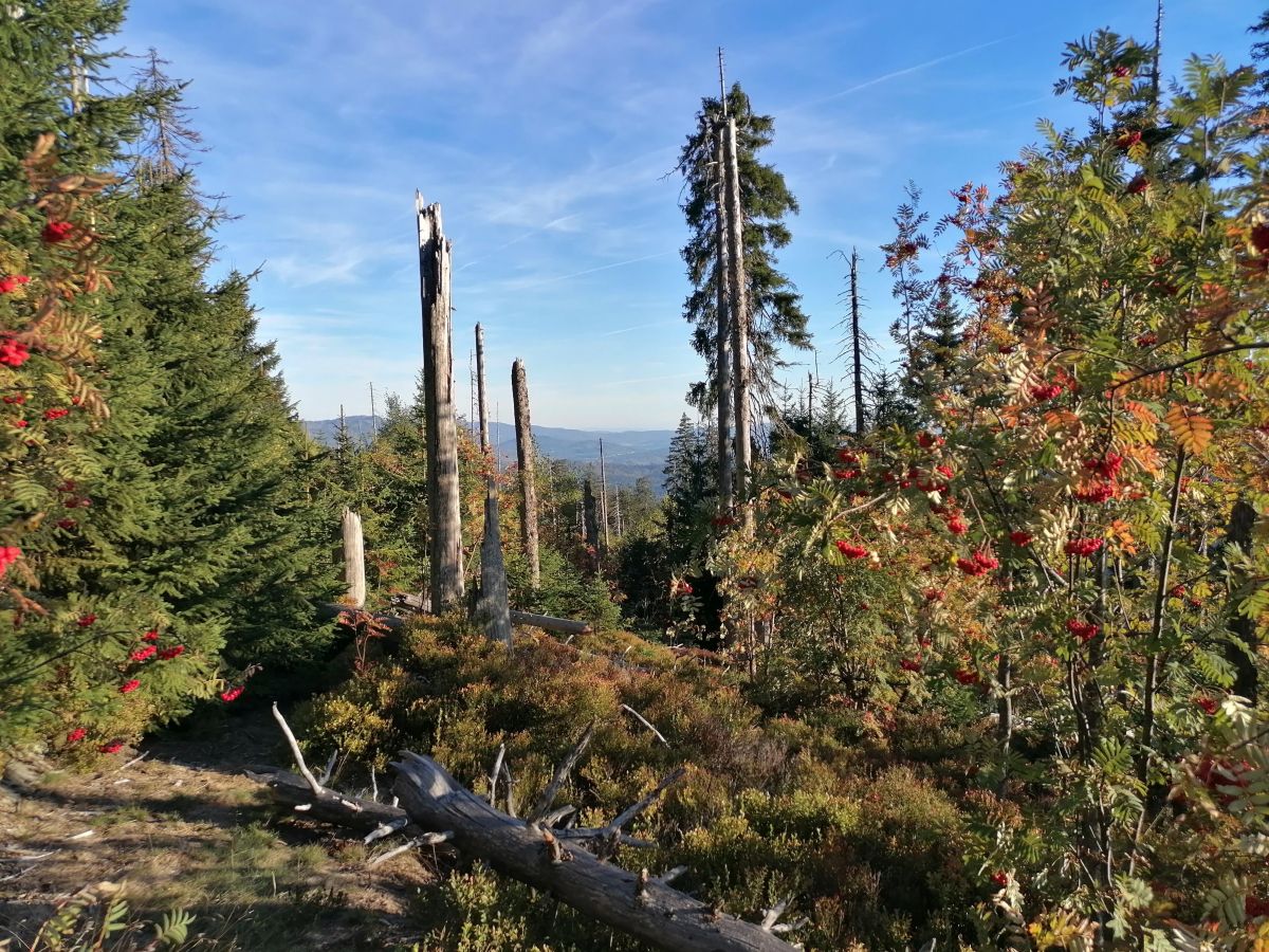 2026-09-27  Podzimní Šumava 2026  W045