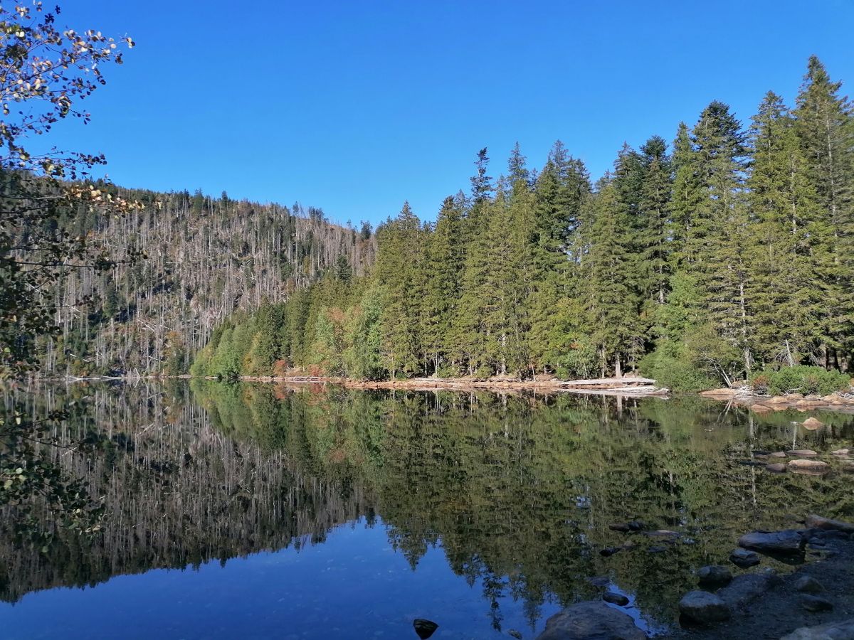 2026-09-28  Podzimní Šumava 2026  W002