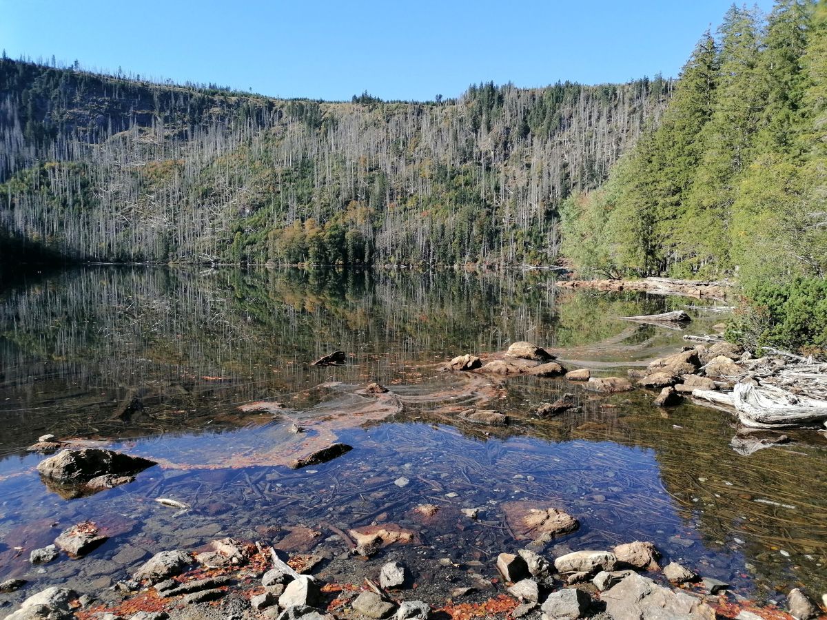2026-09-28  Podzimní Šumava 2026  W005
