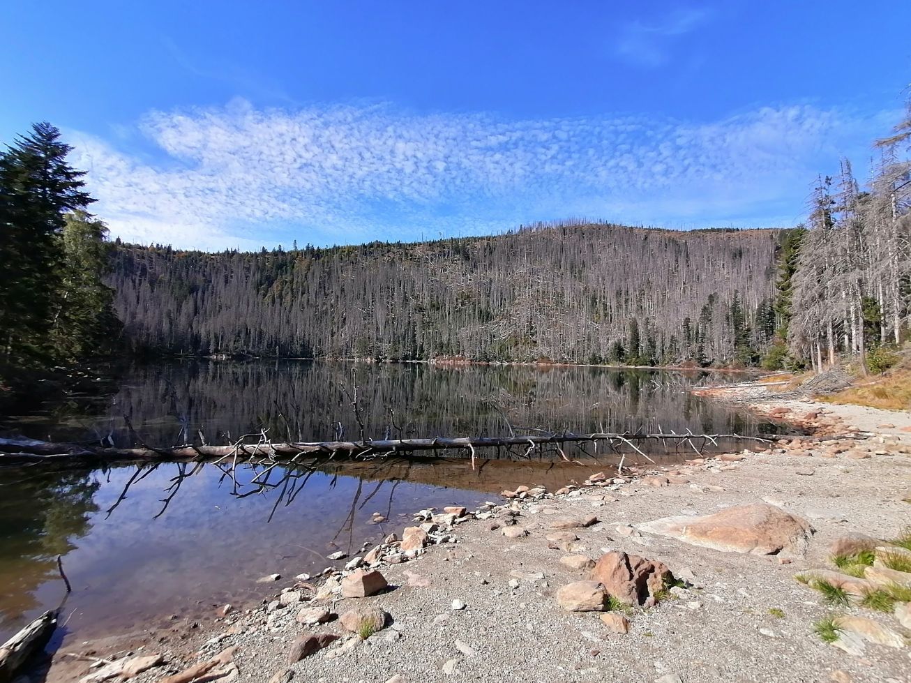 2026-09-28  Podzimní Šumava 2026  W017