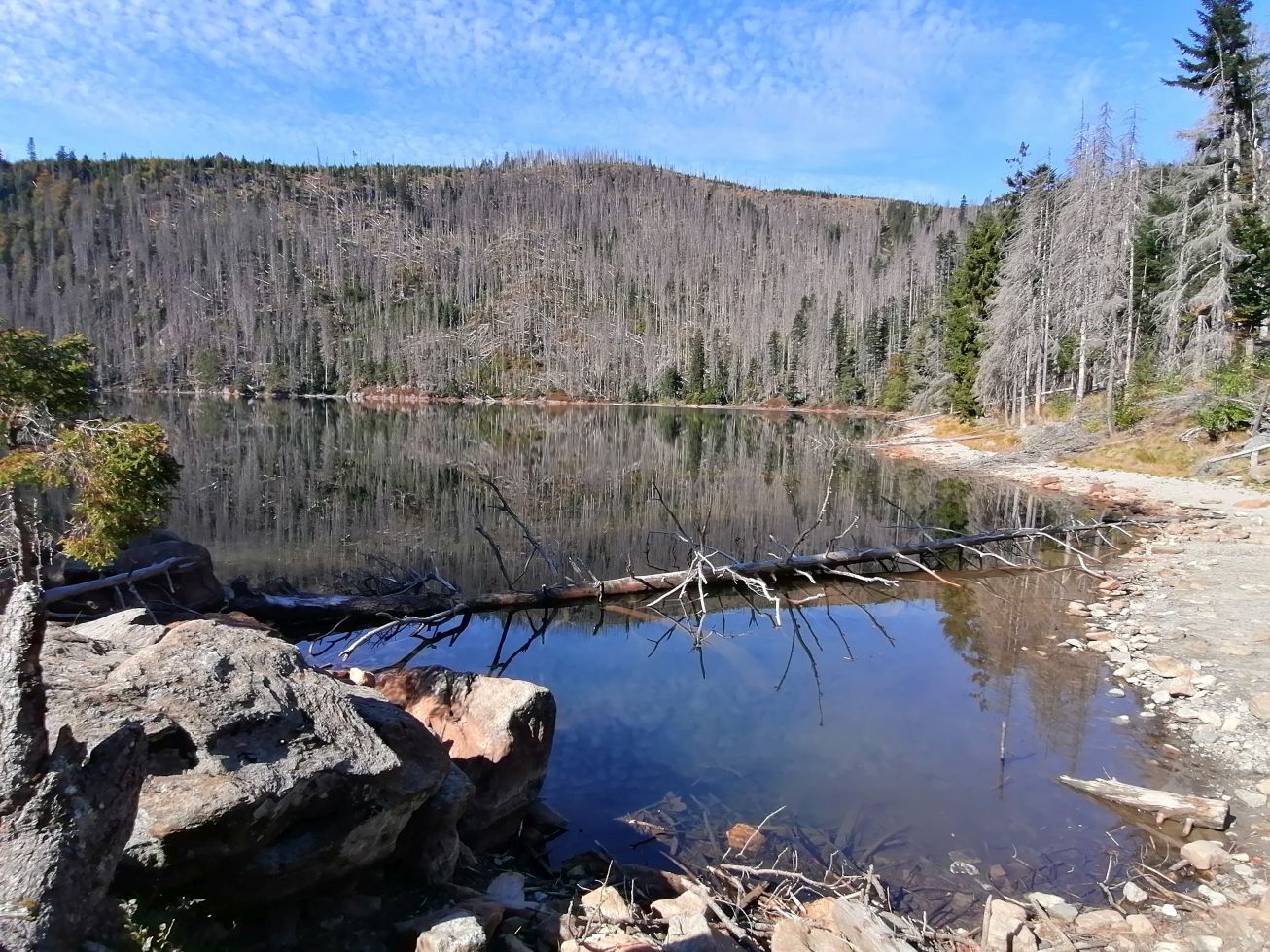 2026-09-28  Podzimní Šumava 2026  W018