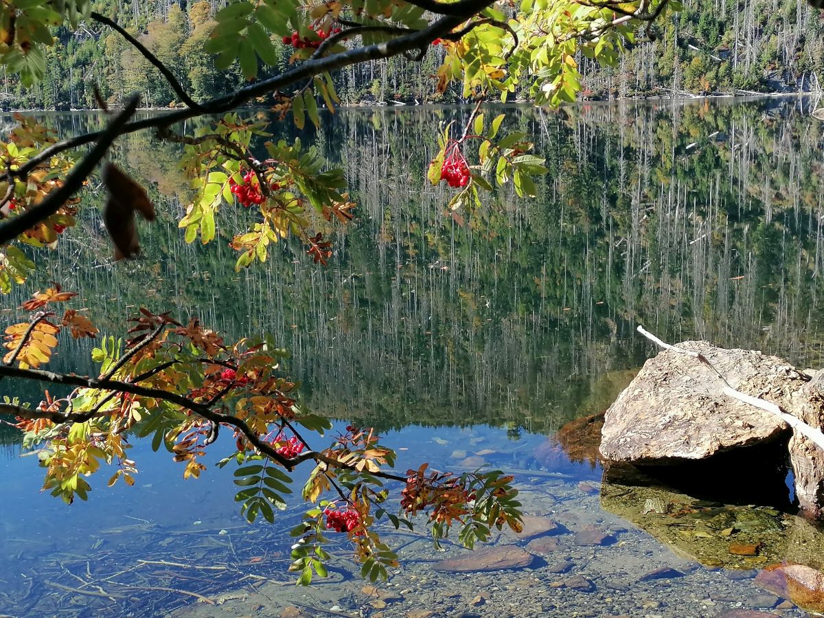 2026-09-28  Podzimní Šumava 2026  W015