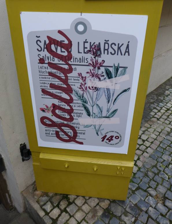 2016-02-08  U Dobřenských  012