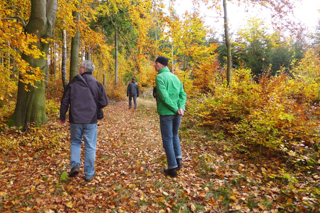 2016-10-30  Kocouři v Lužici W004