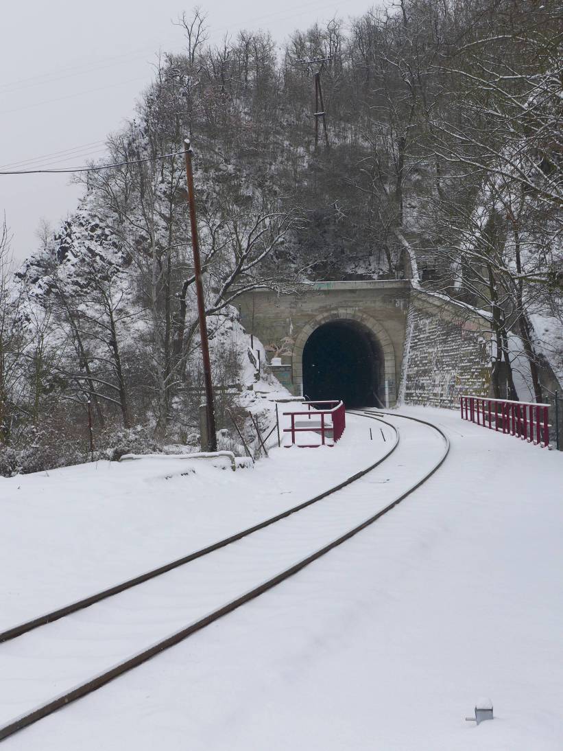 2017-01-08  Zimní brodění  W039