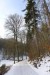 2017-02-05  Kunratice  W008