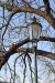 2019-01-30  Žofín  004