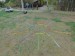2019-04-06  Duhové vírání jara  W019