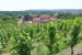 2019-06-09  Pražské vinice 2019  W016