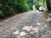 2025-05-31  Pražské vinice 2025  W002