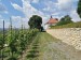 2025-05-31  Pražské vinice 2025  W006