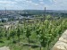 2025-05-31  Pražské vinice 2025  W008