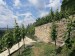 2025-05-31  Pražské vinice 2025  W010