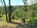 2026-06-28 Uvařená Střela W007
