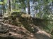 2026-08-03 Kaplická Alka W008