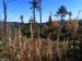 2026-09-28  Podzimní Šumava 2026  W020