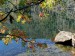 2026-09-28  Podzimní Šumava 2026  W015