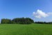 2016-08-07 Holubi v Holubově W011